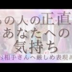 【お相手さんに対して厳しめあり】あの人の正直なあなたへの気持ち【恋愛・タロット・オラクル・占い】