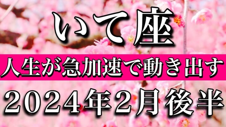 いて座♐︎2024年2月後半 人生が急加速で動き出す！Sagittarius tarot reading✴︎late February 2024