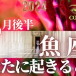 魚座♓️ 【２月後半あなたに起きること✡】2024　３万人突破❤ココママのなんでわかるの？タロット占い🔮