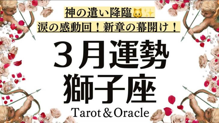 【涙の感動回】獅子座に絶対観てほしいメッセージ。ついに新章へ❗️3月全体運勢♌️仕事恋愛対人【個人鑑定級タロットヒーリング】