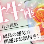 牡牛座♉️2024年3月の運勢🌈もっと大きく開運✨✨知らなかった本当の自分に出会える💖癒しと気付きのタロット占い🔮