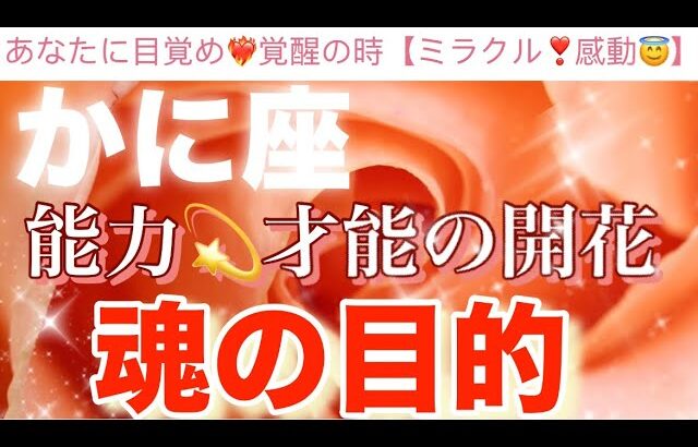 蟹　座🦋【驚き❤️‍🔥】目覚め覚醒の時‼️いよいよ開花する才能⚡️能力⚡️輝く時✨🌹✨今迄の努力が報われる時🫶個人鑑定級深掘りリーディング#潜在意識#ハイヤーセルフ#魂の声