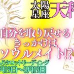 太陽星座 天秤座さん💖〈太陽からの恵みは「ソウルメイトとの出会い」自分らしさを取り戻す力をくれる人に出会う〉太陽魚座入り期間 2024年2月19日～3月19日 タロットリーディング　てんびん座