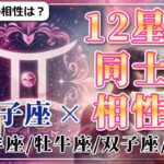 【12星座同士の相性編７】双子座×「牡羊座」「牡牛座」「双子座」「蟹座」