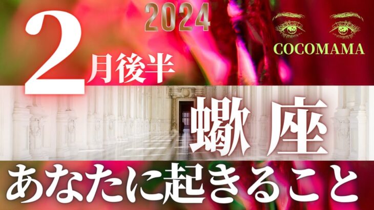 蠍座♏️ 【２月後半あなたに起きること✡】2024　ココママのなんでわかるの？タロット占い🔮