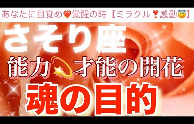 蠍　座🦋【驚き❤️‍🔥】目覚め覚醒の時‼️いよいよ開花する才能⚡️能力⚡️輝く時✨🌹✨今迄の努力が報われる時😭個人鑑定級深掘りリーディング#潜在意識#ハイヤーセルフ#魂の声