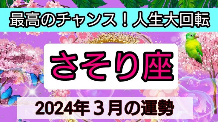 蠍座【2024年３月】💕最高のチャンス！人生大回転👑幸せを呼び込む！開運リーディング🌟