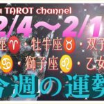 何が起きる⁉️【2/4〜2/10週間リーディング】牡羊座♈️牡牛座♉️双子座♊️蟹座♋️獅子座♌️乙女座♍️#2024 #直感リーディング #タロット占い