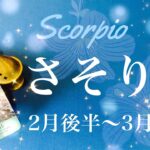 さそり座♏️2024年2月後半〜3月前半🌝 闇が明ける！出口の光、確かな追い風、まとまる、動き出す、深い連帯とやりがい、共に作り上げる喜び