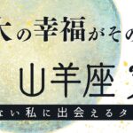 山羊座2024年3月✨あなたは凄い🔥喜びと積み上げた成果をちゃんと見てー！💫当てないタロット占い&自由に質問オラクルカード✨令和六年三月やぎ座の運勢