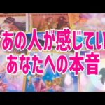 今あの人が感じているあなたへの本音🦋恋愛タロット🦋相手の気持ち🦋片思い復縁複雑🦋個人鑑定級占い