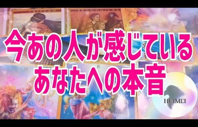 今あの人が感じているあなたへの本音🦋恋愛タロット🦋相手の気持ち🦋片思い復縁複雑🦋個人鑑定級占い