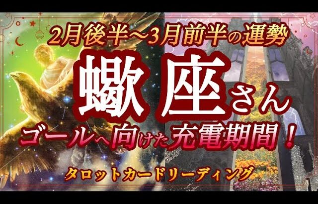 【タロットリーディング】蠍座さん♏️2月後半〜3月前半の運勢🔮✨ゴールへ向けた充電期間❣️【星座占い】