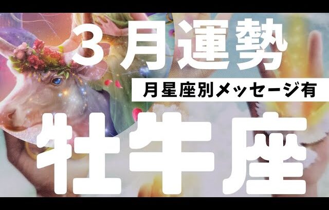 【牡牛座♉】3月の運勢～「太陽」のカード、輝く✨自分の喜びが周囲の喜びへ⤴️～