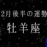 【牡羊座】2月後半の運勢　今めちゃくちゃ重要な時期です‼️ 2024年タロット占い