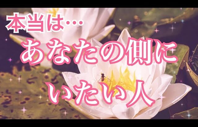 【想われています👀】あなたの側にいたい人❤️個人鑑定級 当たる 恋愛タロット占い オラクルカード細密リーディング