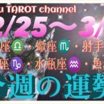 3月突入🌸【2/25〜3/2週間リーディング】天秤座♎️蠍座♏️射手座♐️山羊座♑️水瓶座♒️魚座♓️#2024 #直感リーディング #タロット占い