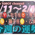 何かが始まる⁉️牡羊座♈️牡牛座♉️双子座♊️蟹座♋️獅子座♌️乙女座♍️【2/11〜2/17週間リーディング】#2024 #直感リーディング #タロット占い