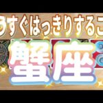 蟹座♋️もうすぐはっきりすること‼︎〜見た時がタイミング〜Timeless reading〜タロット&オラクルカードリーディング