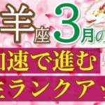 準備はいいですか？急加速で人生ワープ🌈すごい展開がきます！山羊座３月運勢♑️仕事/人間関係/恋愛/お金［タロット・オラクルカードリーディング］