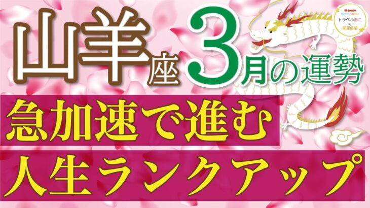 準備はいいですか？急加速で人生ワープ🌈すごい展開がきます！山羊座３月運勢♑️仕事/人間関係/恋愛/お金［タロット・オラクルカードリーディング］