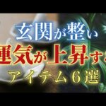 玄関の風水を整えて開運・金運を引き寄せる観葉植物と風水インテリア6選 避けたいNGアイテムも紹介