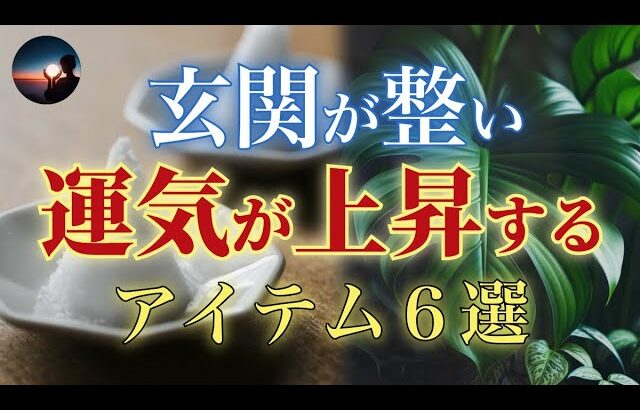 玄関の風水を整えて開運・金運を引き寄せる観葉植物と風水インテリア6選 避けたいNGアイテムも紹介