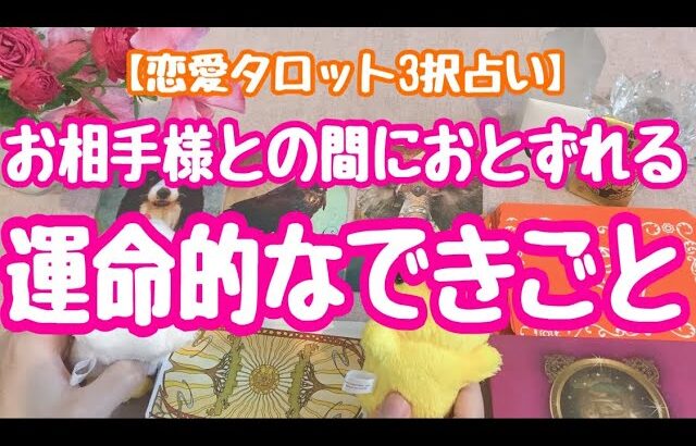 お相手とあなた様に起きる運命的なできごと。恋愛タロット3択占いでリーディングしました♪バランガン西原さゆり