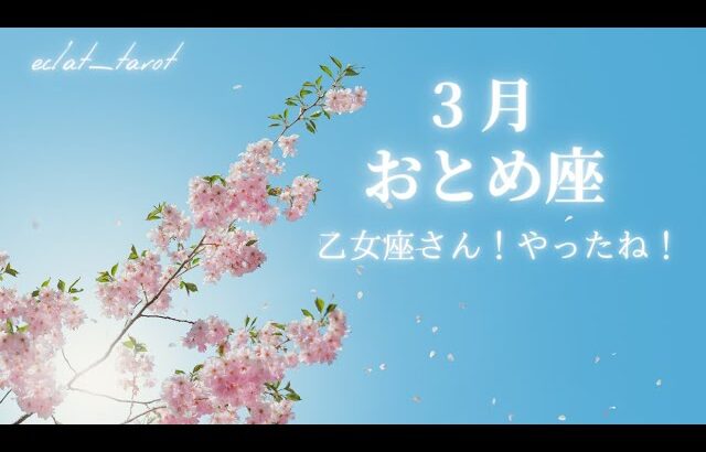 【おとめ座さん】✨タロット前向きリーディング✨すごい事が起こったので全おとめさんに見てほしい‼︎