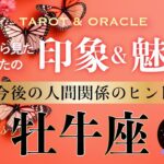 【♉️牡牛座】🍀周りから見たあなたの印象＆魅力／今後の人間関係のヒント🕊️I’m GOLDEN！✨あなたは最高💐（タロット／オラクル／ルノルマン／カードリーディング）