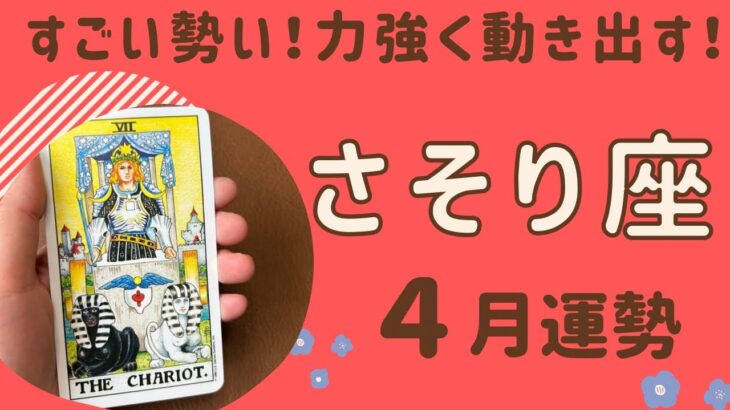 【蠍座】2024年4月運勢♏️すごい勢い‼️力強く動き出す❗️痛みから解放されていく❗️自分の欠点を受け入れる✨