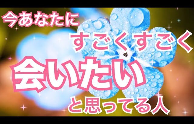 【ご縁の深い2人👀💗】今あなたに、すごくすごく会いたいと思ってる人がいます。個人鑑定級 恋愛タロット占い ルノルマン オラクルカード細密リーディング