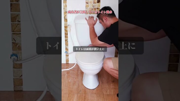 【トイレ風水】成功者がやっている簡単トイレ風水　　　　　　 #shorts  #風水 #金運 #掃除 #トイレの神様