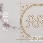 【水瓶座さん♒︎】2024年4月の星座リーディング🌸🫧