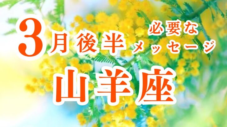 【山羊座】3月後半の運勢　おおお…‼️後半だけでも見てみてください🥹✨2024年タロット占い