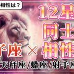 【12星座同士の相性編１５】獅子座 ×「天秤座」「蠍座」「射手座」