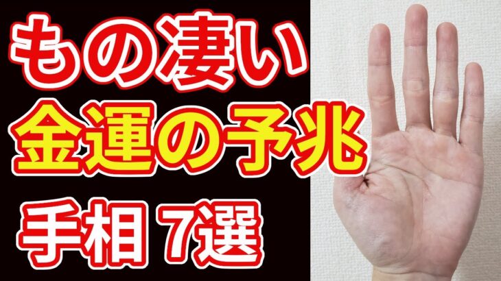 【手相占い】凄い金運を暗示する手相7選