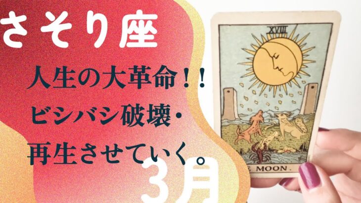 全てを超えていく！！本当の蠍座の姿が現れる。【3月の運勢　さそり座】