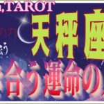 天秤座♎️さん【魚座新月🌚〜これから出会う引き合うあなたに必要な運命の人とは⁉️】もっともっと受け取れる豊かさ💐#直感リーディング #2024 #タロット占い