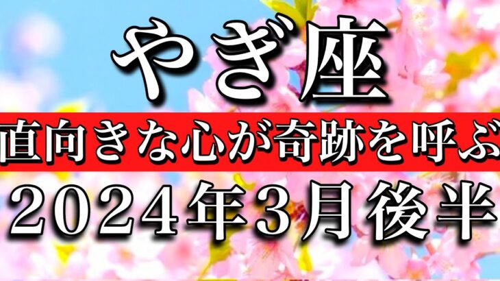 やぎ座♑︎2024年3月後半 直向きな心が奇跡を呼ぶ　Capricorn tarot reading✴︎March 2024