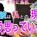 【神展開、辛口展開あり】彼は現状についてどう思ってる？💛この状態どうしたい？どう思ってる？どんな存在？魅力、相性から彼の今の本音をお届けします【タロット王子の恋愛占い🤴🏼】男心からアドバイス✨