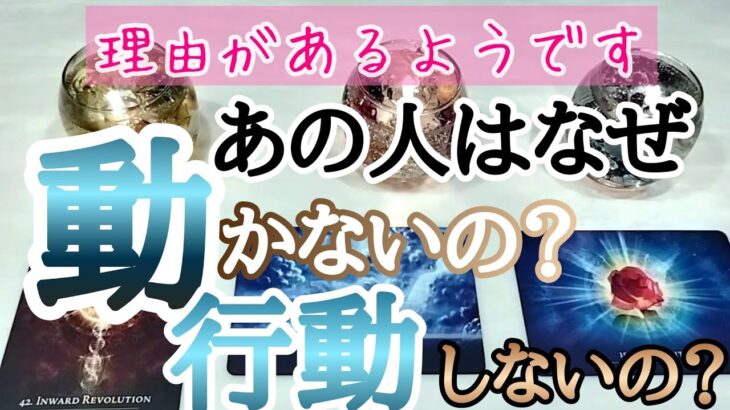 【謝りたいそうです】あの人はなぜ行動しないの？動かないの？タロットとオラクルカードとルノルマンカードで詳細鑑定💌💗