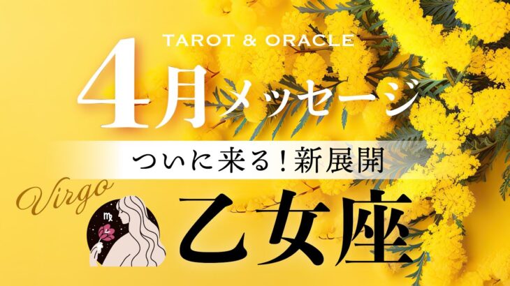 【乙女座♍️4月運勢】ついに来る！新展開🌈キラッキラに輝く💎✨試練の先には最高のご褒美が✨タロット＆オラクルカードリーディング