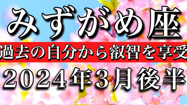 みずがめ座♒︎2024年3月後半 過去の自分から叡智を受け取る　Aquarius tarot reading✴︎March 2024