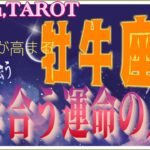 牡牛座♉️さん【魚座新月🌚〜これから出会うあなたに必要な運命の人とは⁉️】本心を引き出される💞#2024 #タロット占い #直感リーディング