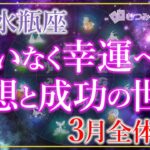 ♒水瓶座3月運勢🌈✨幸運と深く結びつく！喜びに集中していく🌼✨