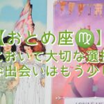 【おとめ座♍】人生において大切な選択の時　素敵な出会いはもう少し先に