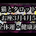 サビ猫と本来のあなた到来！うお座さん3月4月5月全体運・健康運。Sabineko and your true self have arrived! Pisces, March, April, May.