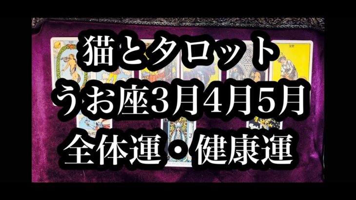 サビ猫と本来のあなた到来！うお座さん3月4月5月全体運・健康運。Sabineko and your true self have arrived! Pisces, March, April, May.