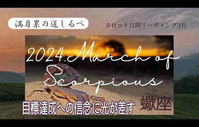 蠍座♏️3月⭐️３つのキング👑役割が見えて来る‼️どんな障害も柔軟に解決✨